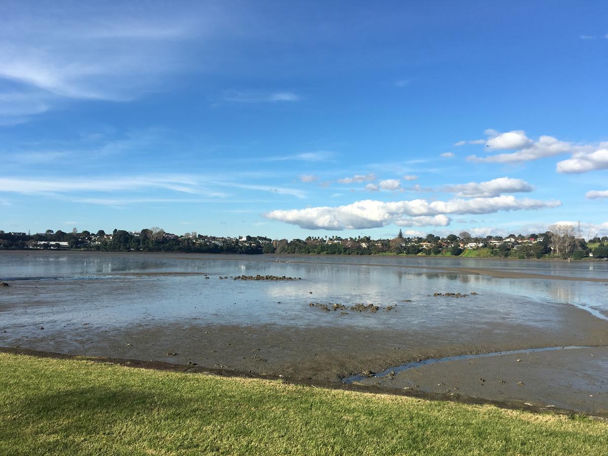 Auckland Gq Flat Bush Holiday Home Экстерьер фото